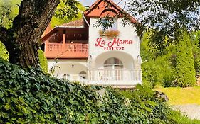 Pensiune La Mama